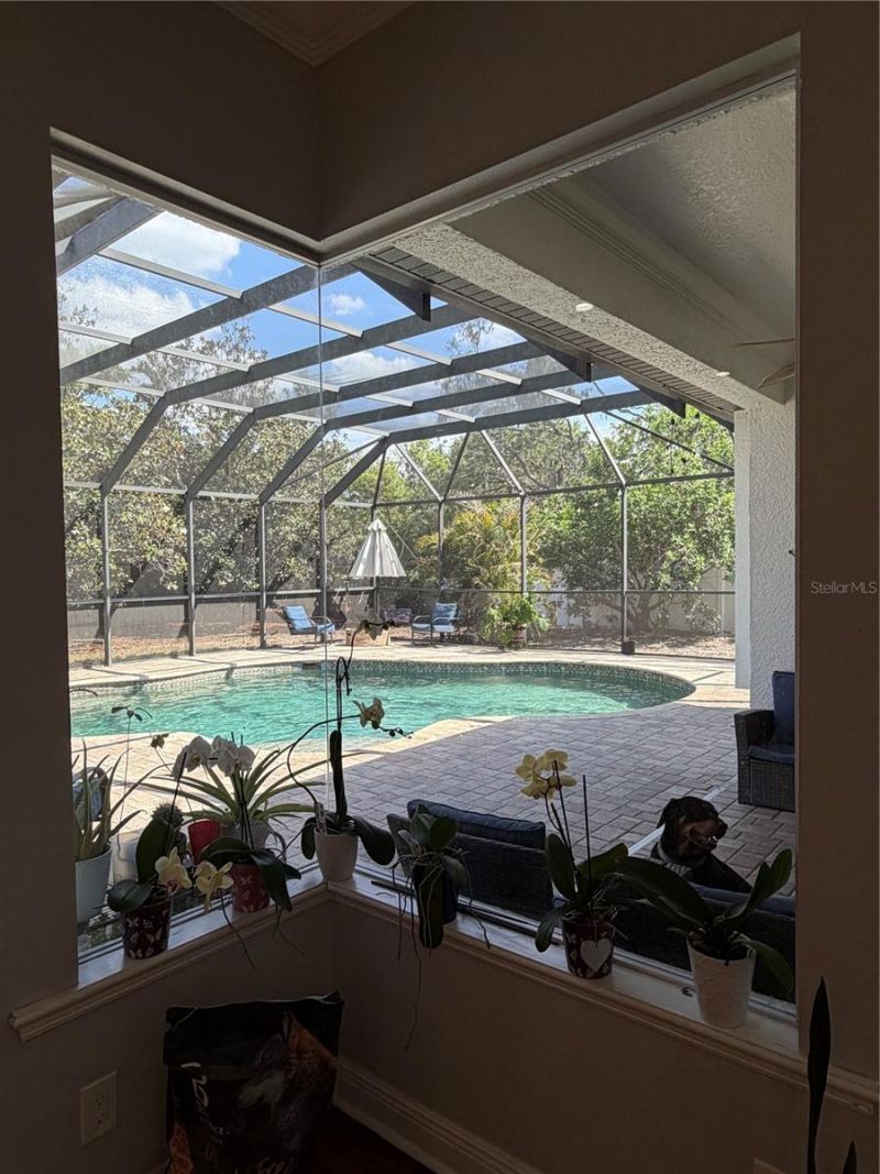 8137 Golden Bear Loop , Port Richey, FL 34668 Photo
