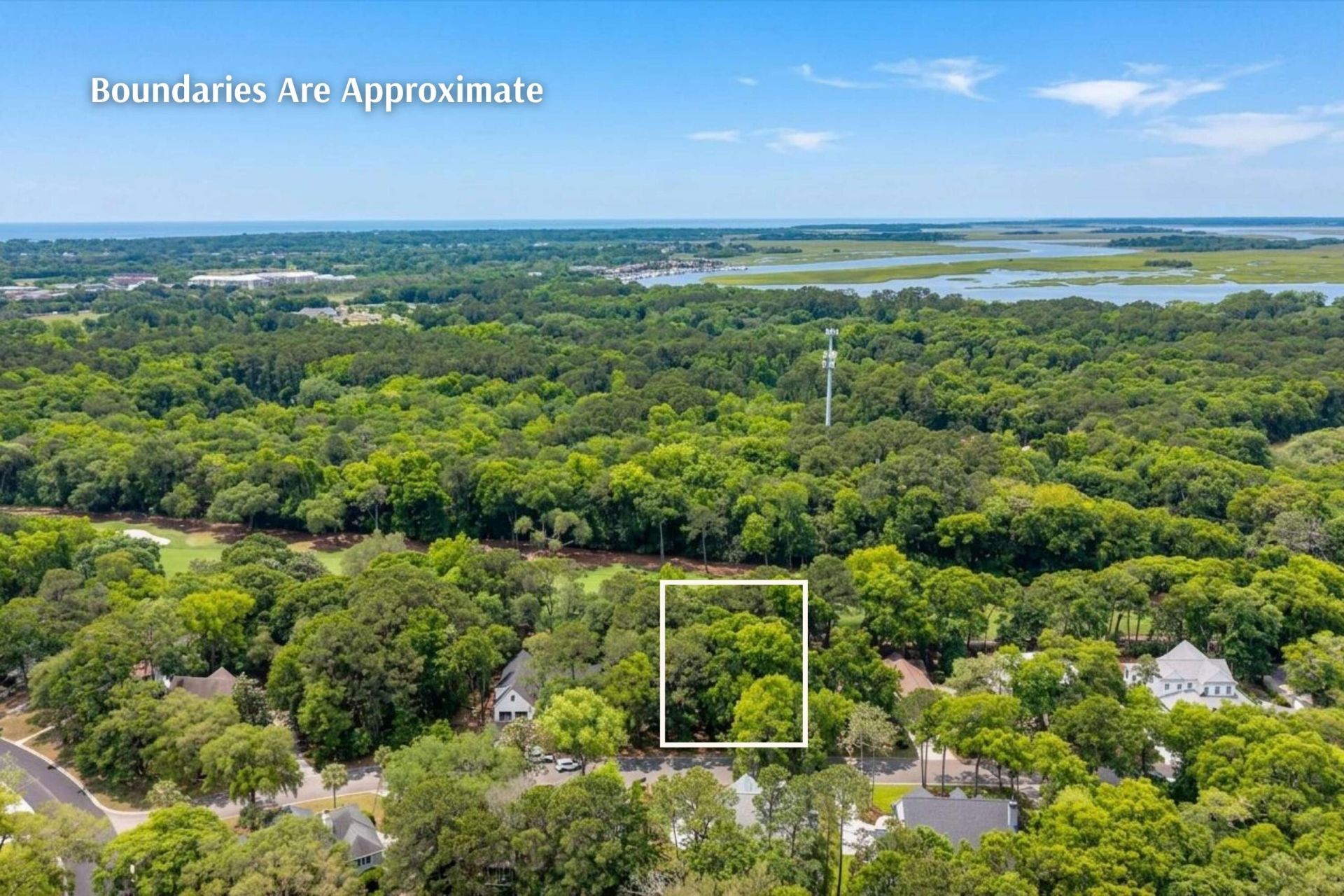3211 Waverly Lane Photo 9
