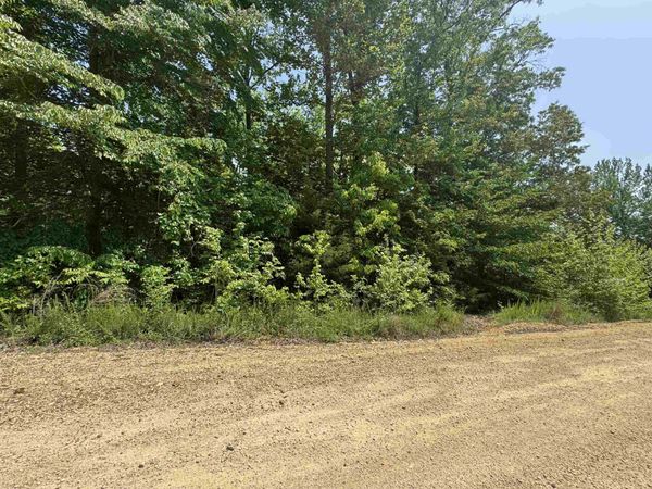 00 YOUNGER HOLLOW CEMETERY RD, Clifton, TN 38425