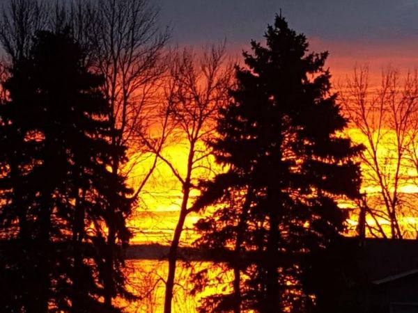 22567 Csah 14, Darwin, MN 55324