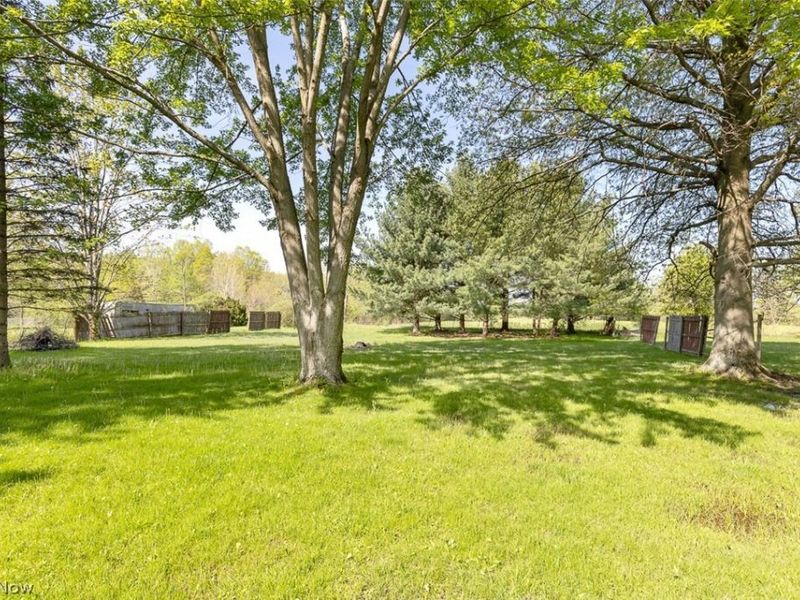 12300 Cowley Road, Columbia Station, OH 44028 Photo 28