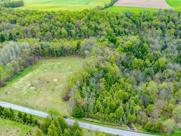 Shephard Road , Fenner, NY 13035