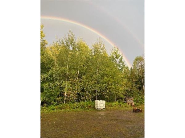 8225 Blaisdell Lake, Winter, WI 54896