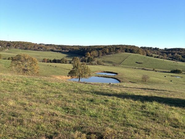 Hc 73 County Road 245 , Drury, MO 65638