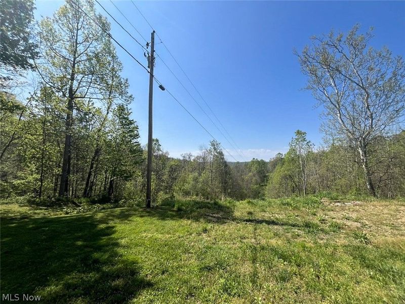 49250 Cowgill Road, Sarahsville, OH 43779 Photo 23