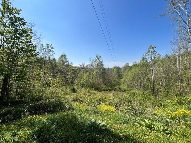 49250 Cowgill Road, Sarahsville, OH 43779 Photo 24