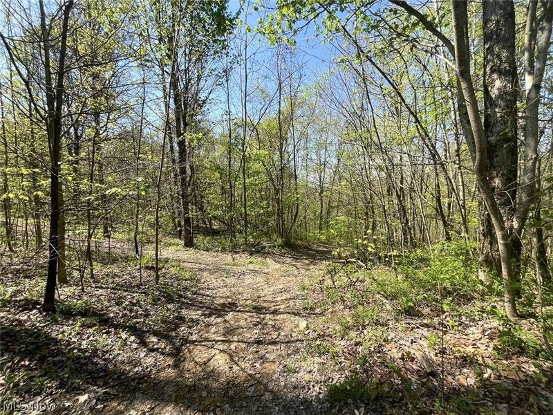49250 Cowgill Road, Sarahsville, OH 43779 Photo 30