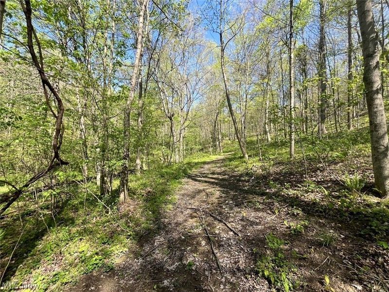 49250 Cowgill Road, Sarahsville, OH 43779 Photo 33