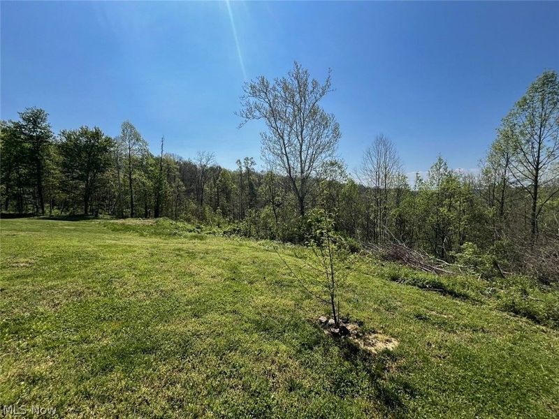 49250 Cowgill Road, Sarahsville, OH 43779 Photo 39