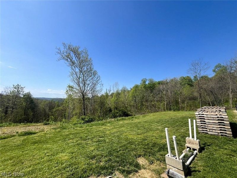 49250 Cowgill Road, Sarahsville, OH 43779 Photo 41