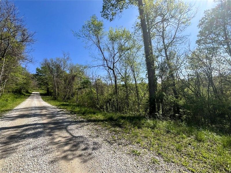 49250 Cowgill Road, Sarahsville, OH 43779 Photo 43