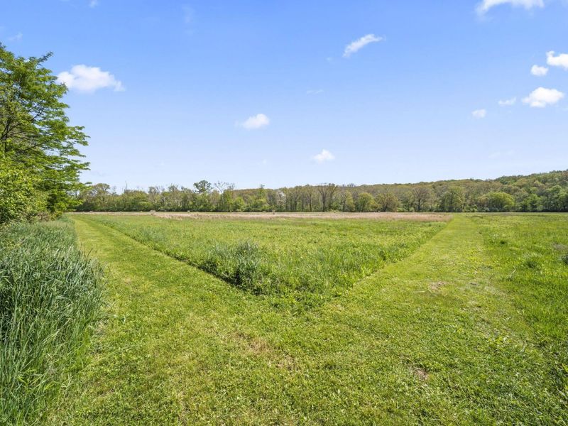 1410 Spagnol Lane, Westerville, OH 43081 Photo 48