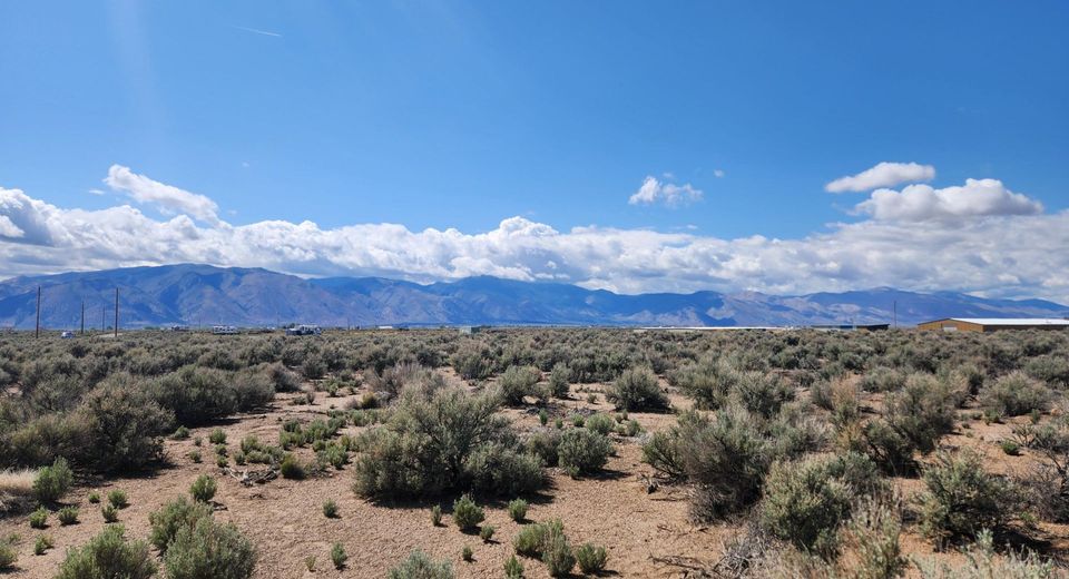 42 Acciari Road, Smith, NV 89430 Photo