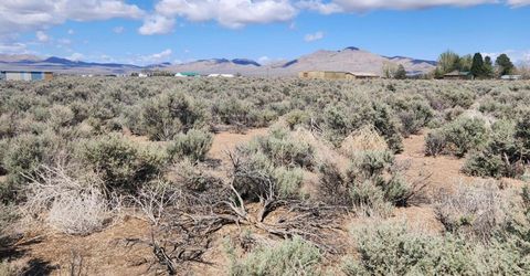 42 Acciari Road, Smith, NV 89430 Photo