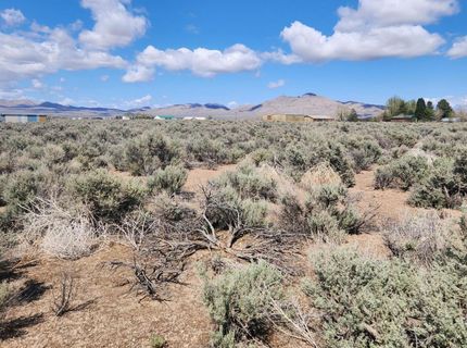 42 Acciari Road, Smith, NV 89430 Photo