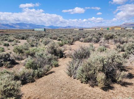 42 Acciari Road, Smith, NV 89430 Photo