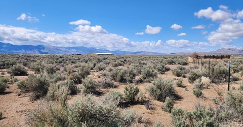 42 Acciari Road, Smith, NV 89430 Photo