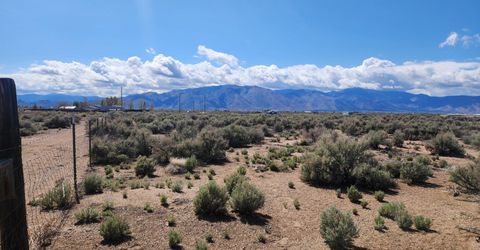 42 Acciari Road, Smith, NV 89430 Photo