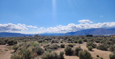 42 Acciari Road, Smith, NV 89430 Photo