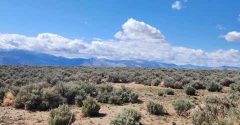 42 Acciari Road, Smith, NV 89430 Photo