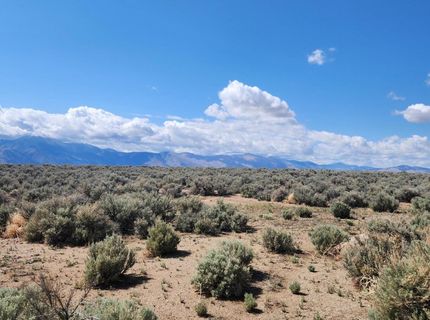 42 Acciari Road, Smith, NV 89430 Photo
