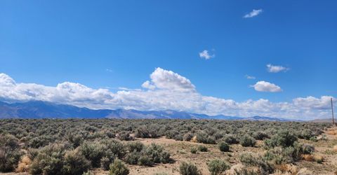 42 Acciari Road, Smith, NV 89430 Photo