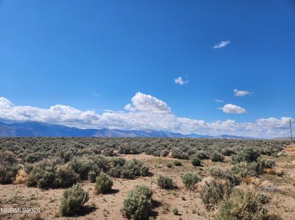 42 Acciari Road, Smith, NV 89430 Photo