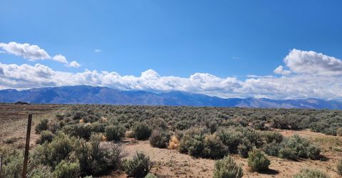 2101 State Route 208, Smith, NV 89430 Photo