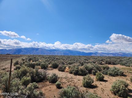 2101 State Route 208, Smith, NV 89430 Photo