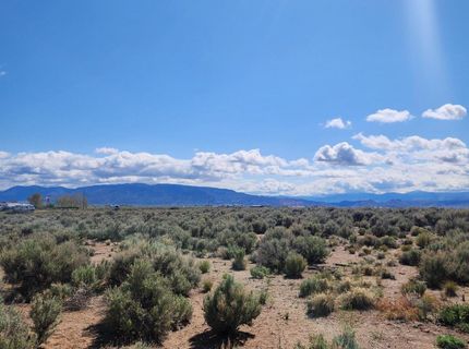 2101 State Route 208, Smith, NV 89430 Photo