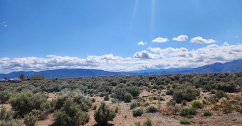 2101 State Route 208, Smith, NV 89430 Photo