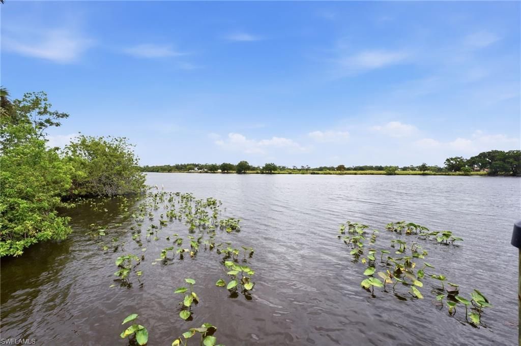 22833 Yellow Button Ln, Alva, FL 33920 Photo
