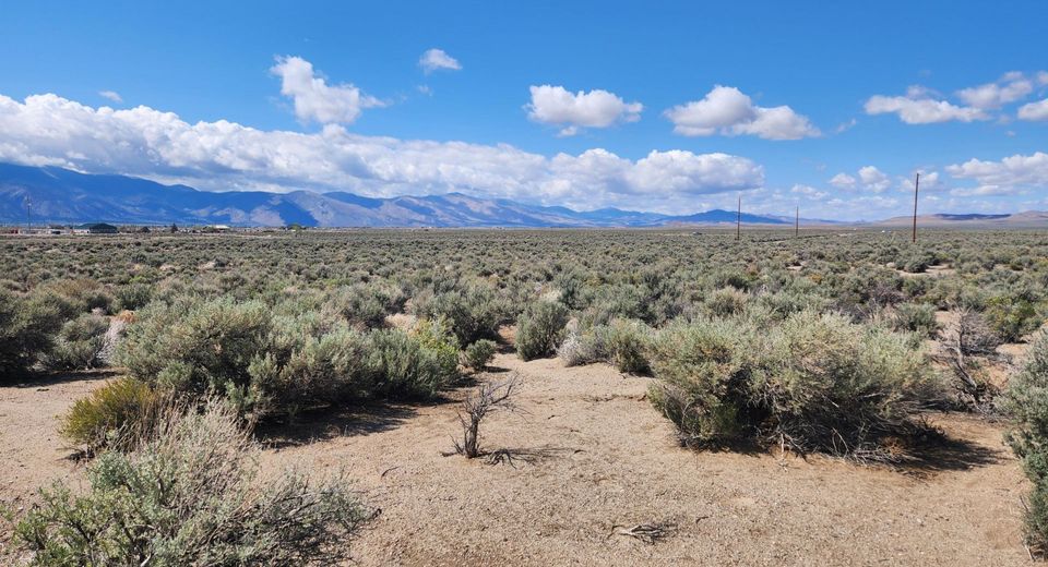 19 Acciari Road, Smith, NV 89430 Photo