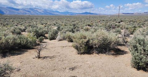 19 Acciari Road, Smith, NV 89430 Photo