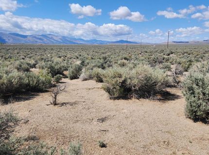 19 Acciari Road, Smith, NV 89430 Photo