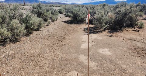 19 Acciari Road, Smith, NV 89430 Photo