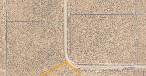 19 Acciari Road, Smith, NV 89430 Photo