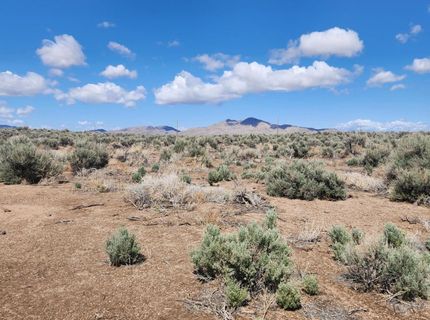 19 Acciari Road, Smith, NV 89430 Photo