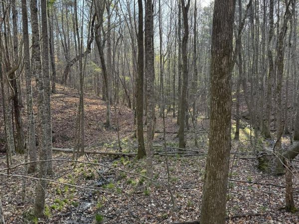 0 Hwy 15, Ackerman, MS 39735