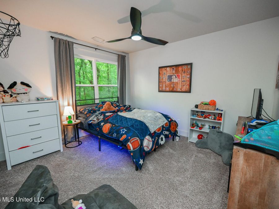 Property Image 49