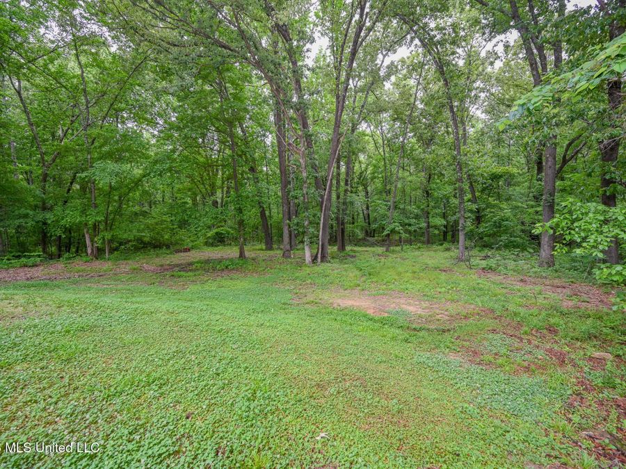 Property Image 62
