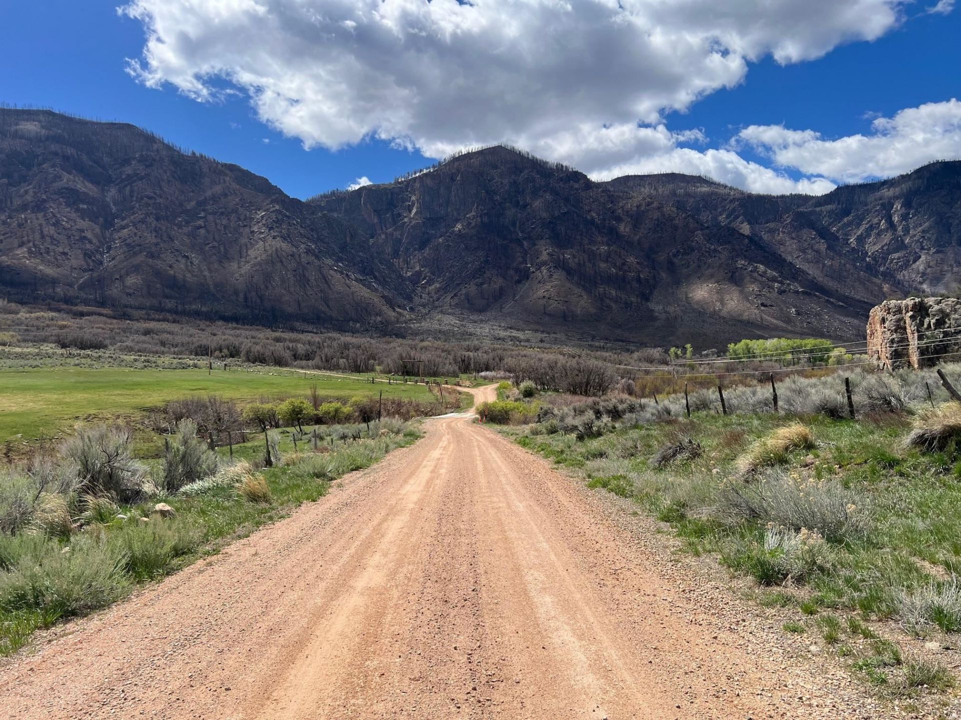 201 16 1/10 Road, Whitewater, CO 81527 Main Photo