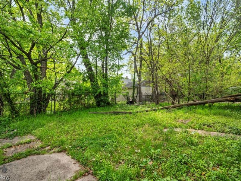 889 E 143rd Street, Cleveland, OH 44110 Photo 19