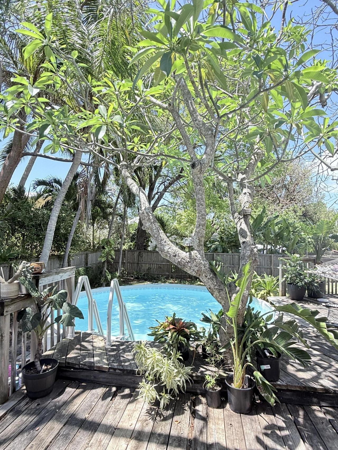 107 Tavern Drive, Tavernier, FL 33070 Photo