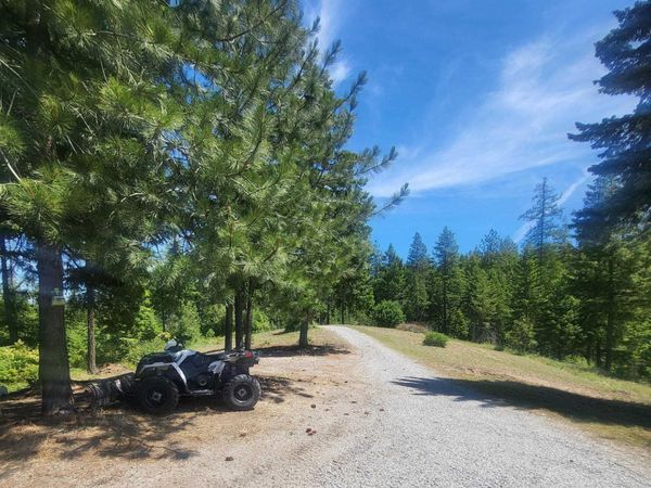 42484 Mt Moriah Way, Loon Lake, WA 99148