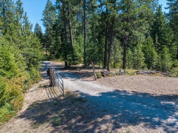 42484 Mt Moriah Way, Loon Lake, WA 99148