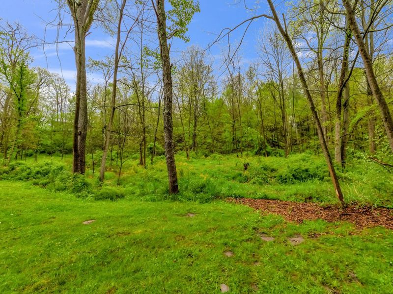 1942 Hulit Road, Mansfield, OH 44903 Photo 73