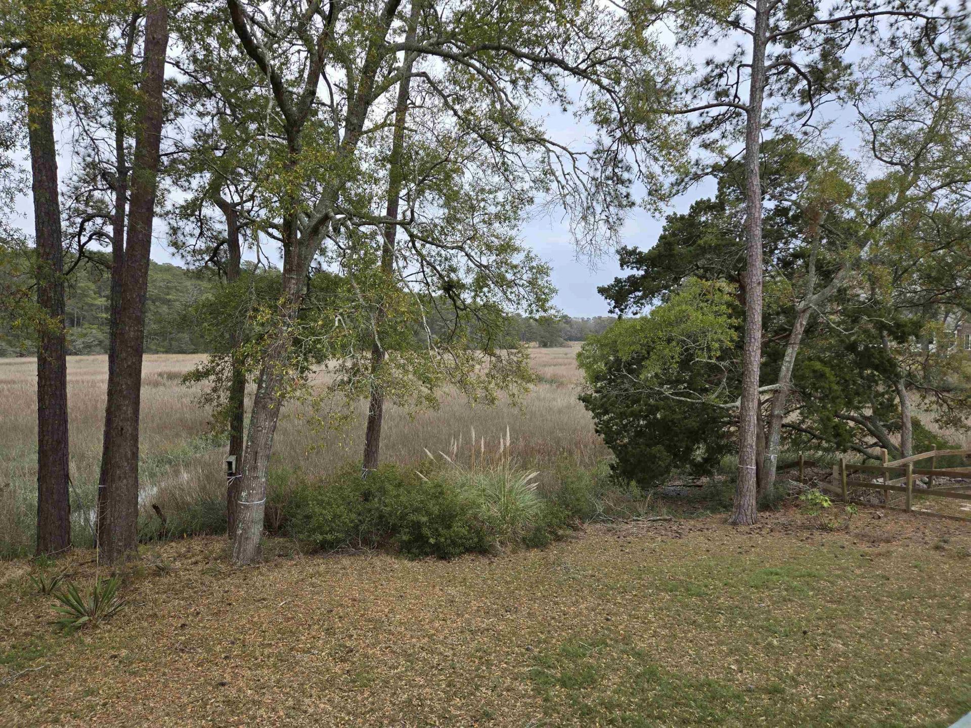 2240 Jackson Circle Photo 5