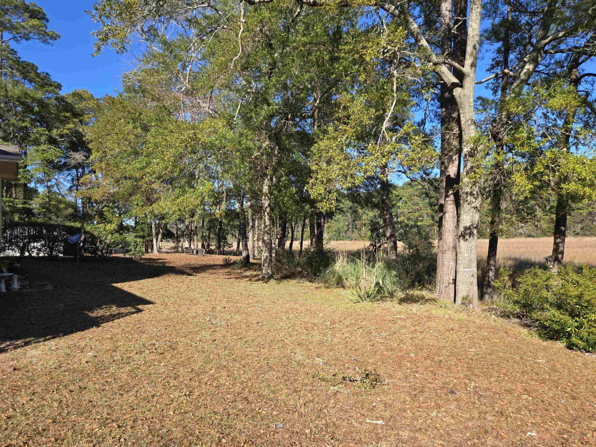 2240 Jackson Circle Photo 8