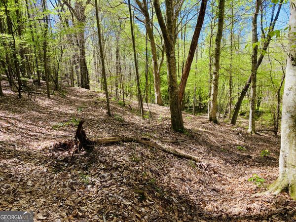 3 Curry Falls Trail, Athens, GA 30607